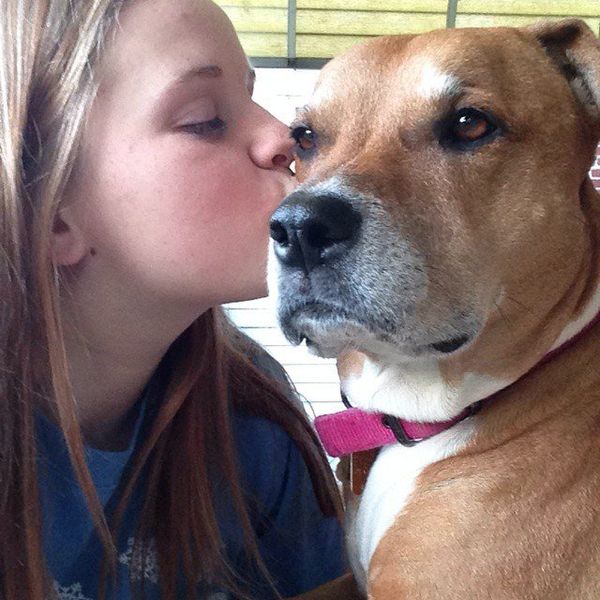 Why Animal Abuse Needs To Stop