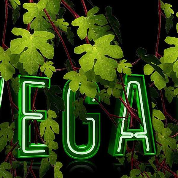 How It Feels To Be Black And Vegan