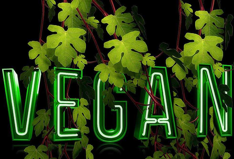 How It Feels To Be Black And Vegan
