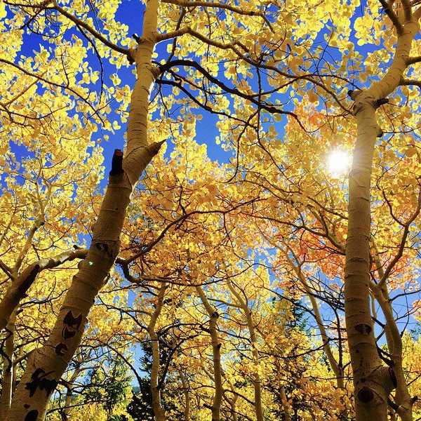7 Reasons To Be Obsessed With Fall