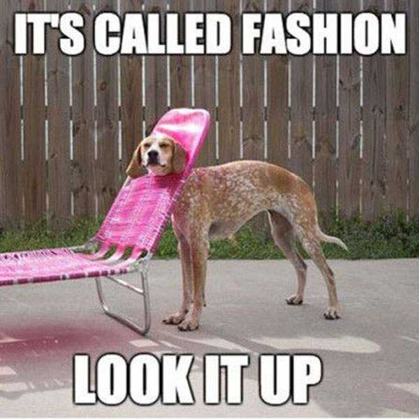 6 Thoughts You Have While Shopping