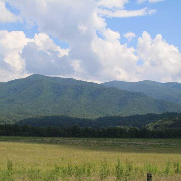 Things To Do In Tennesee