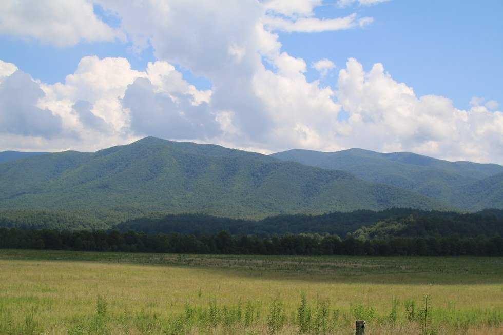 Things To Do In Tennesee