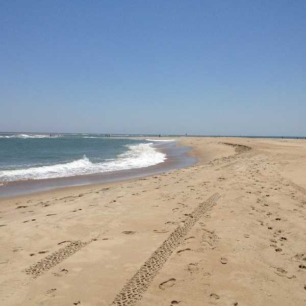 A College Student's Guide To The End Of Summer