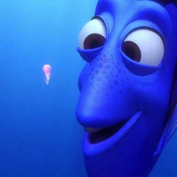 Finding Ourselves Through Dory
