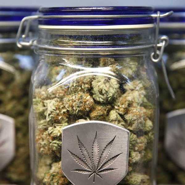 The Power Of Cannabis