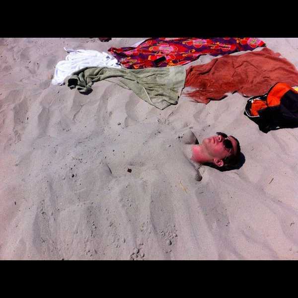 The Stages Of Summer