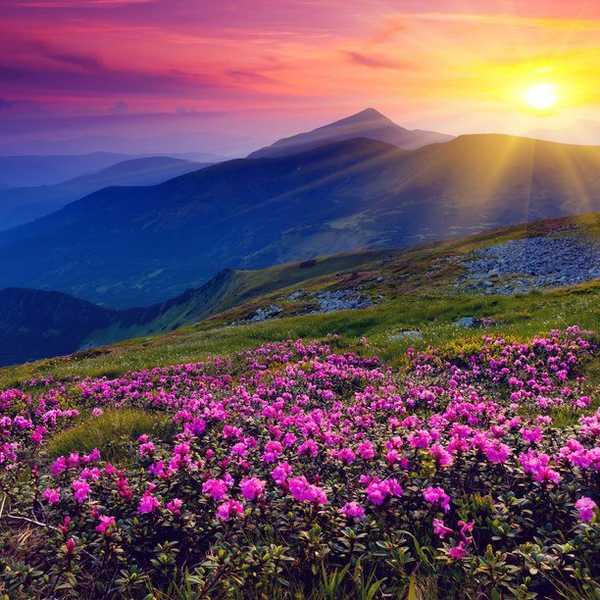 25 Things To Do Before Summer Is Over