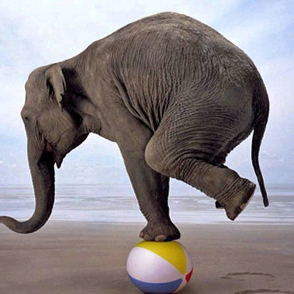 How To Adjust To And Balance College