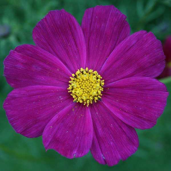 Finding The Key To Happiness