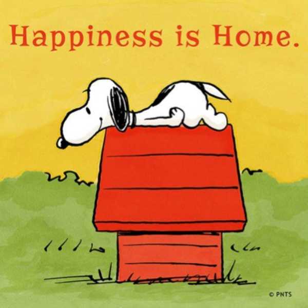 Great Things About Being Home For The Summer