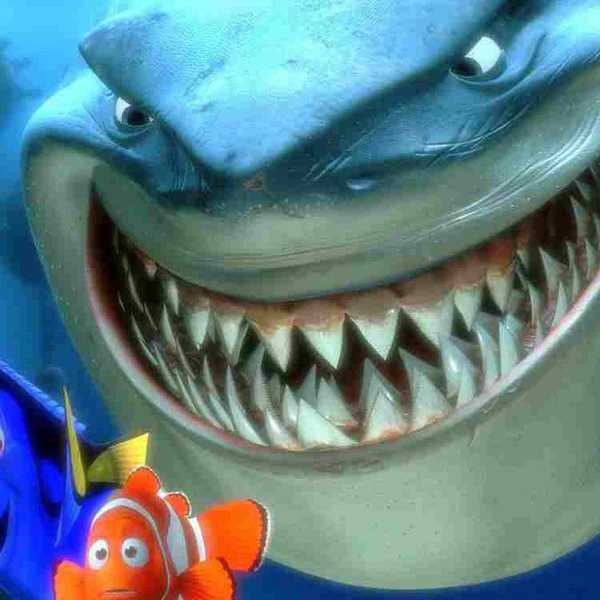 What You Didn't Know About Sharks