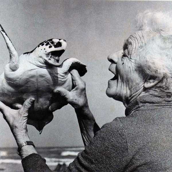 The Turtle Lady