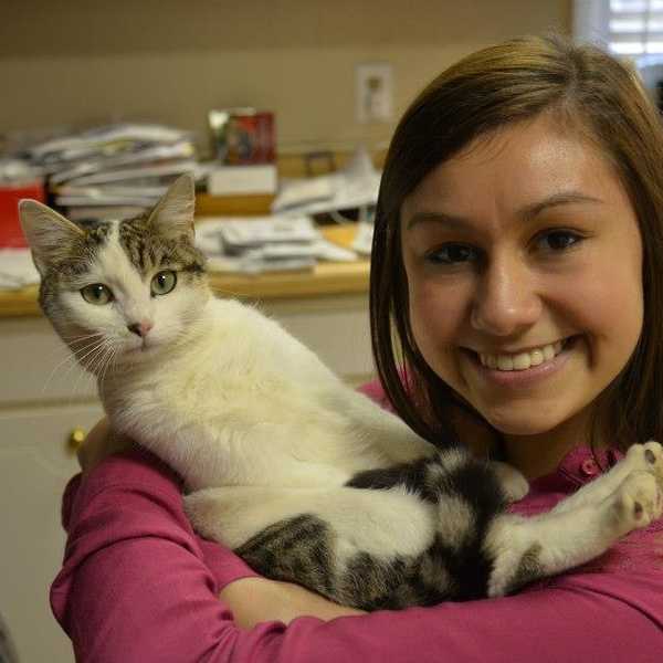 If You Give A Girl A Cat