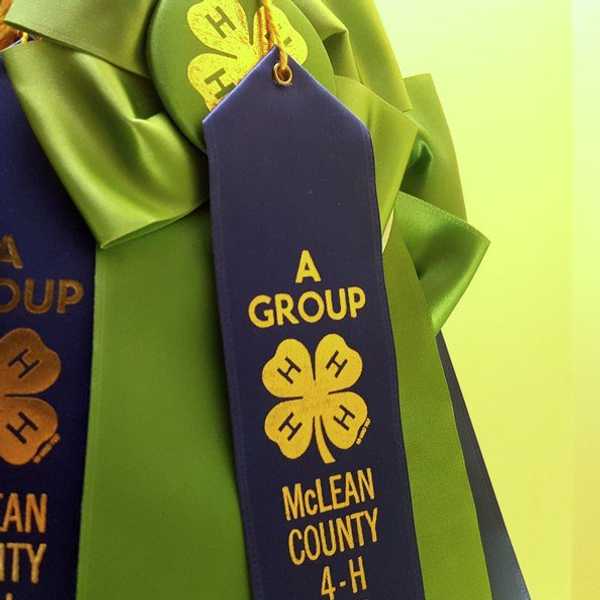 5 Life Lessons That 4-H Taught Me