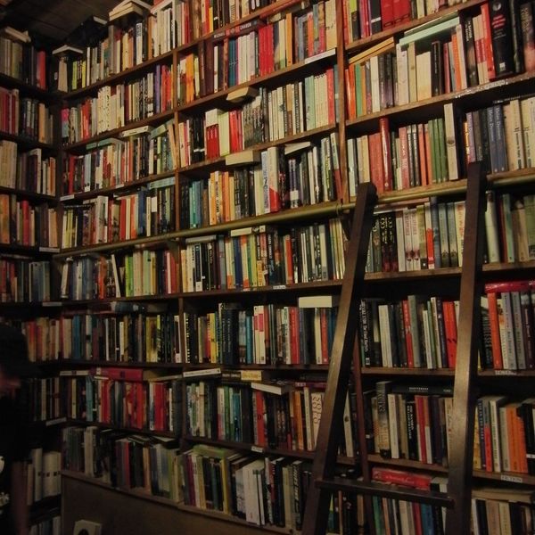 Why Your Life Is Like a Novel