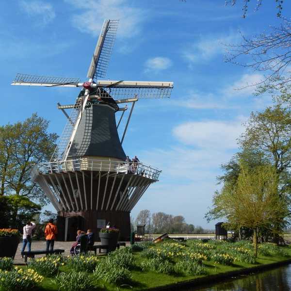 A Letter To The Netherlands