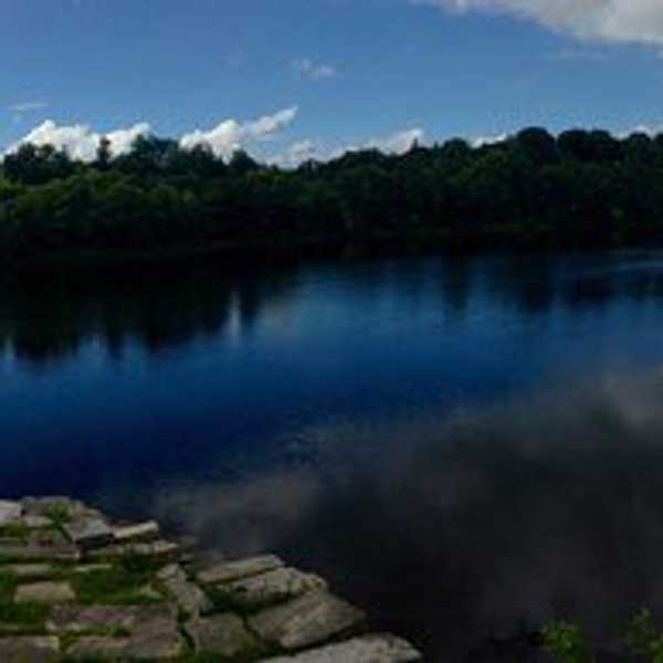 A Thank You Letter To My Home