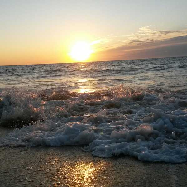 How To Survive Culture Shock In College