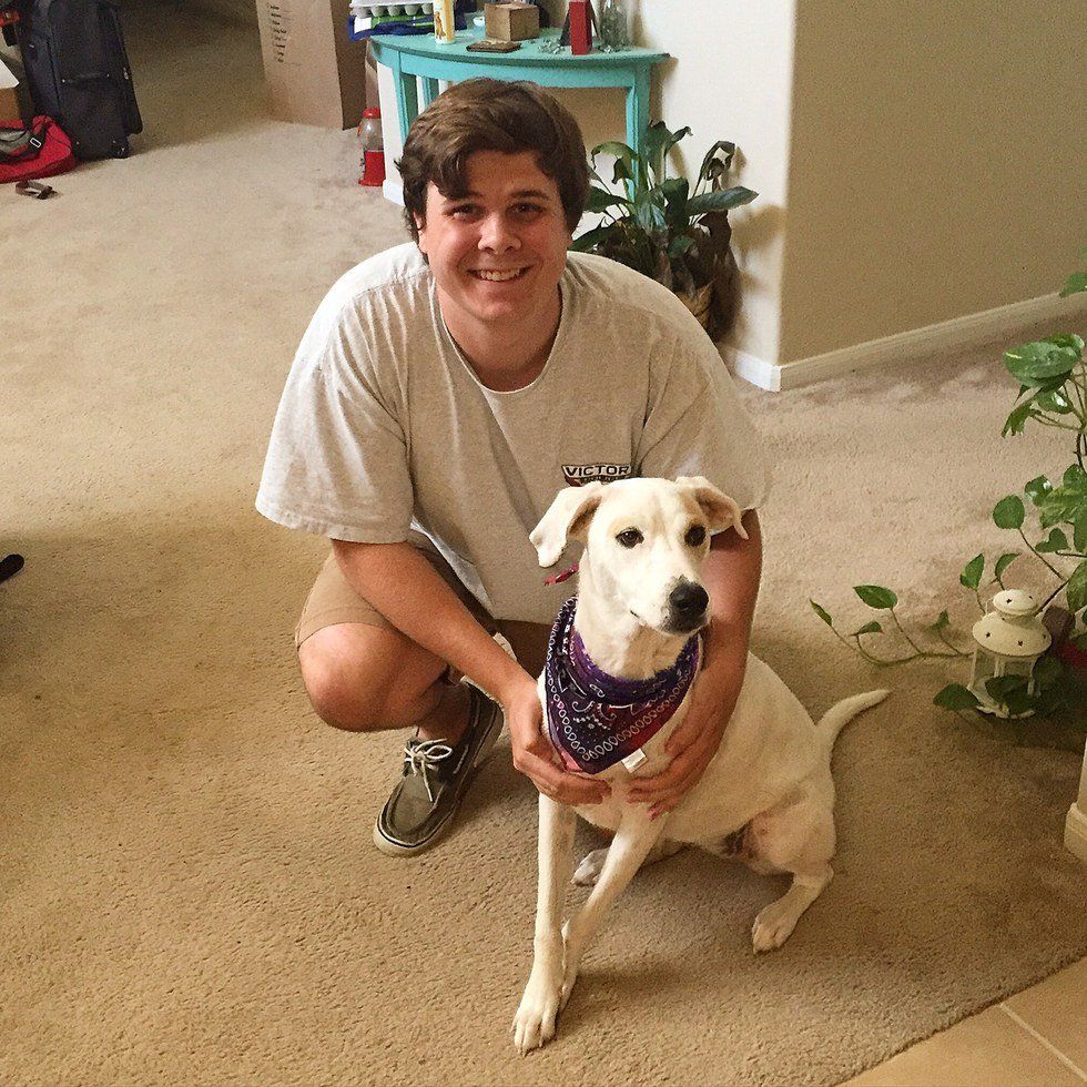 Why You Should Absolutely Get A Dog In College