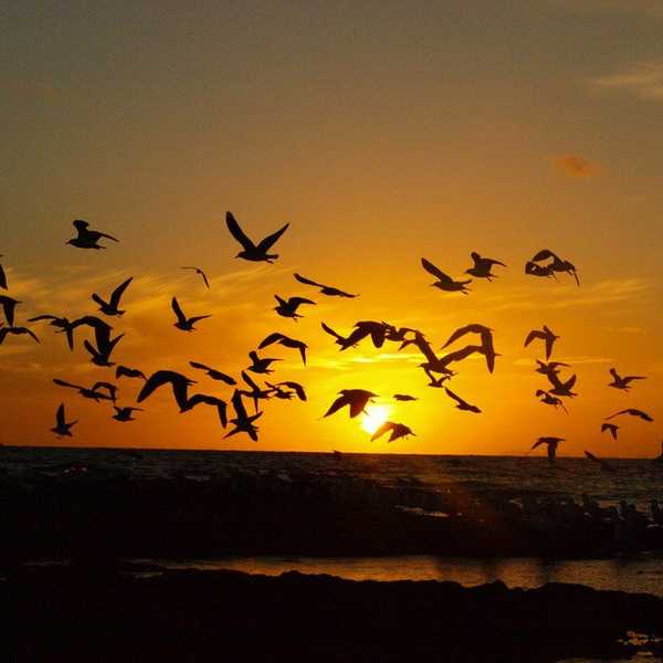 For The Parent Who Wasn't There