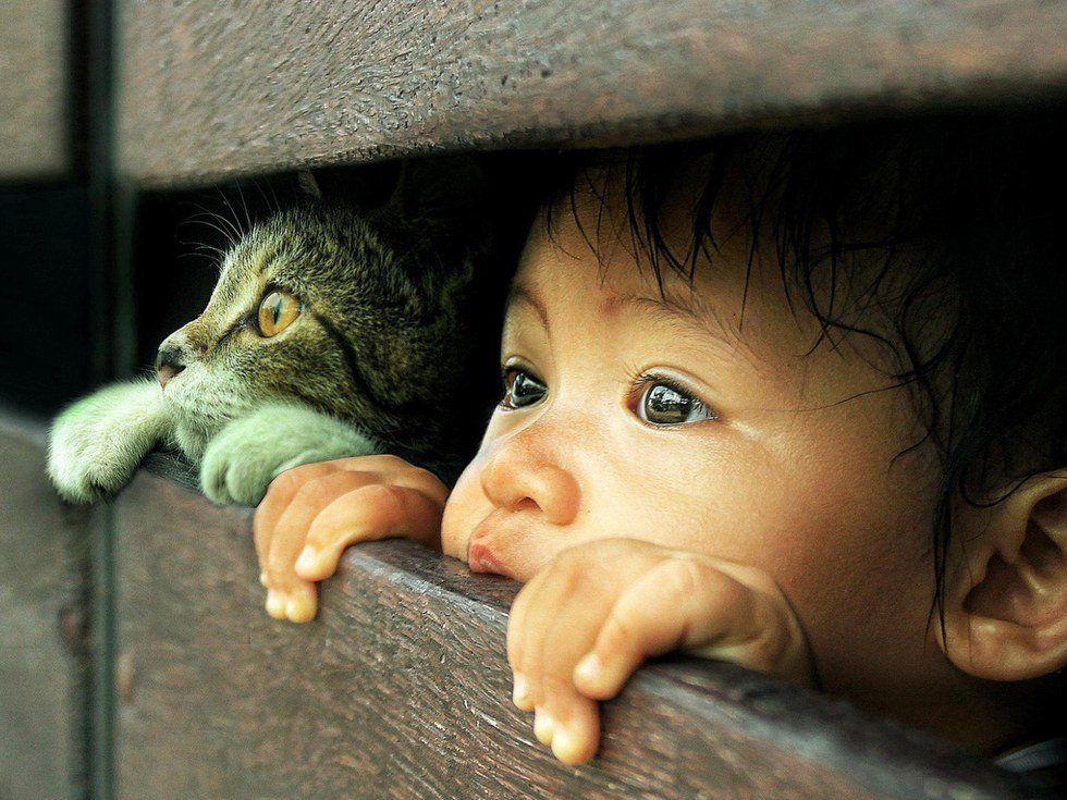 Make Curiosity A Priority