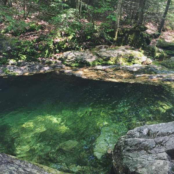 Lost on a Mountain in Maine: Four Teenage Girls Edition