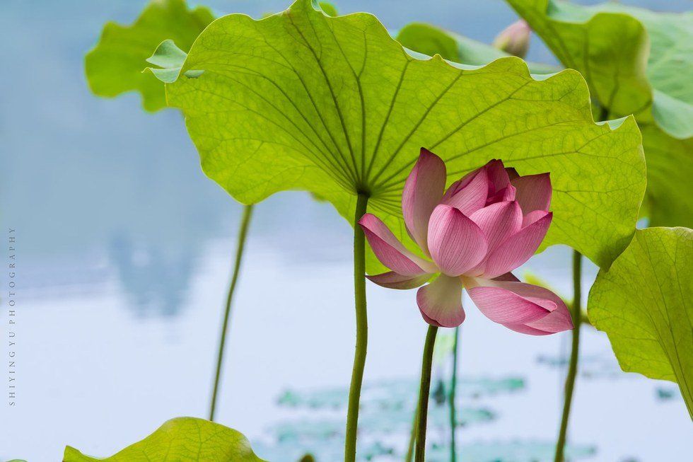 I’m An Introverted Extrovert And That’s OK