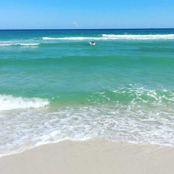 Don't Fear The Wave, Ride It