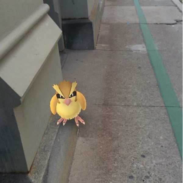 'Pokemon Go': Do We Really Gotta Catch 'Em All?