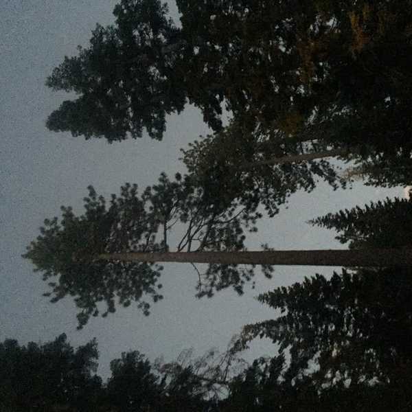 How I Learned To Read God's Love Letter