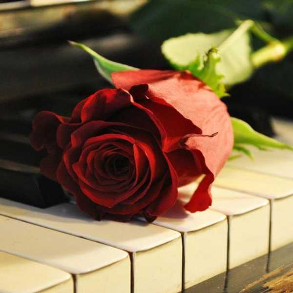 Why You, Too, Should Obsess Over 'The Phantom Of The Opera'