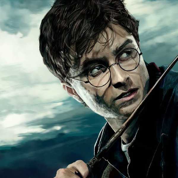In Honor Of Harry Potter