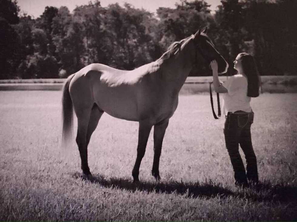 An Open Letter To My Horse