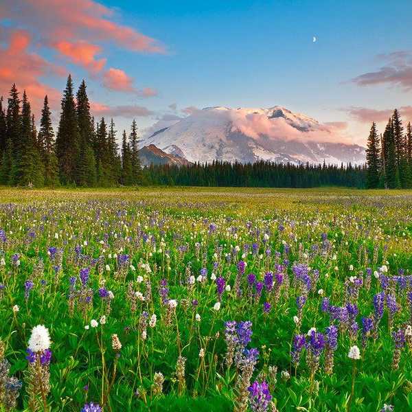 10 Reasons Why You Should Begin To Love Mondays