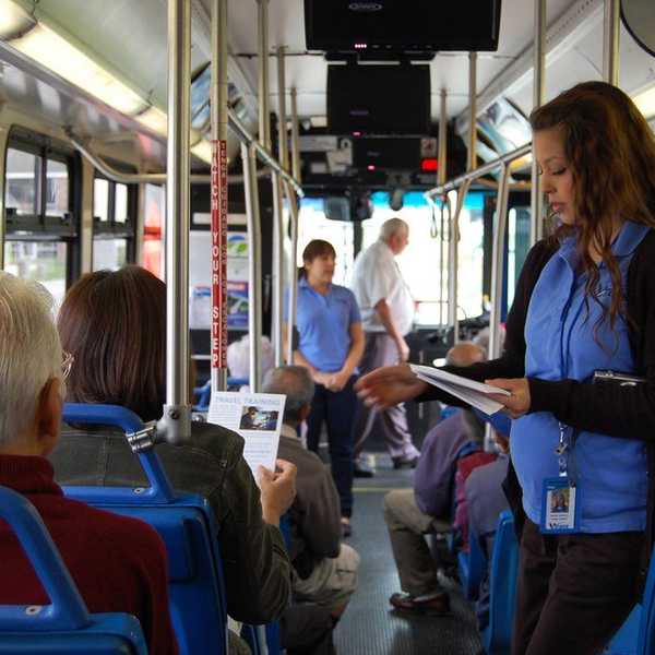 The Misadventures Of Public Transportation