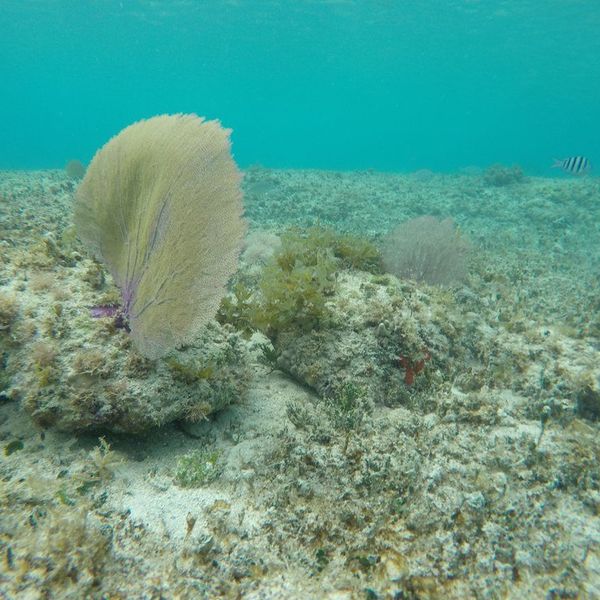 Is Home Really Where The Heart Is?