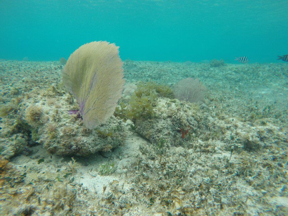 Is Home Really Where The Heart Is?