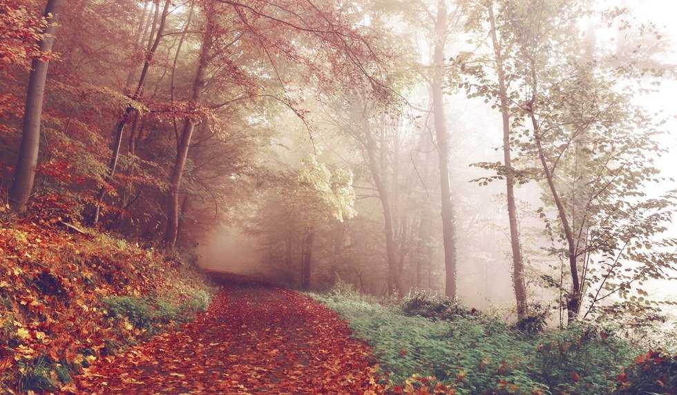 15 Reasons To Look Forward To The Fall