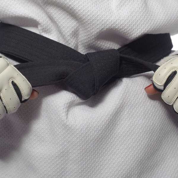 Martial Arts Style, Jujustu