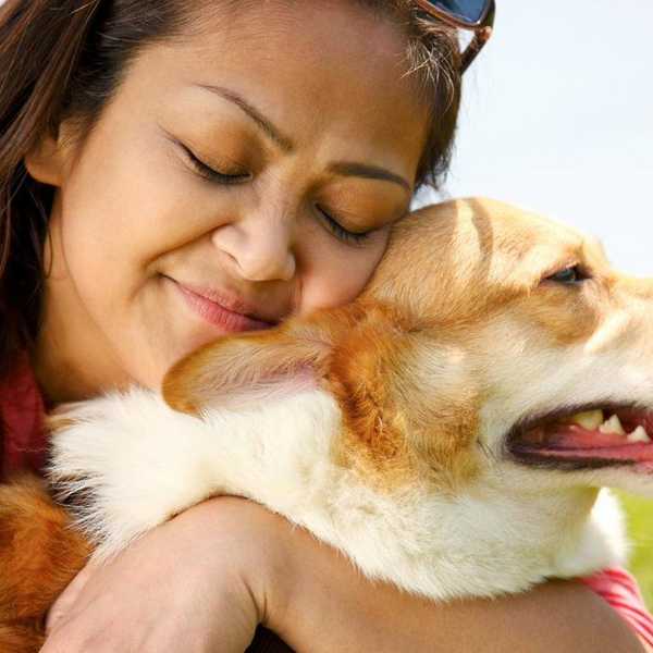 12 Steps Of Saying Goodbye to Your Pet When You Leave For College