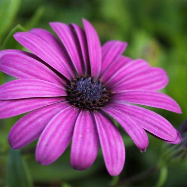 Why We Should All Practice Reckless Optimism