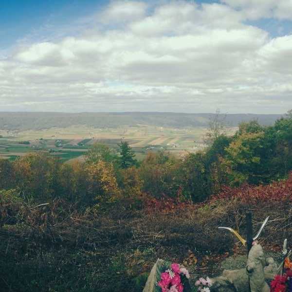 Anticipation Vs. Participation