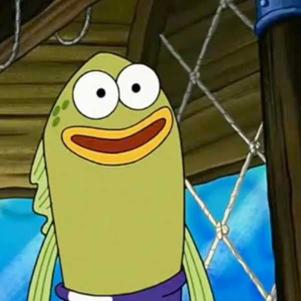 7 Reasons to Own a Betta Fish in College