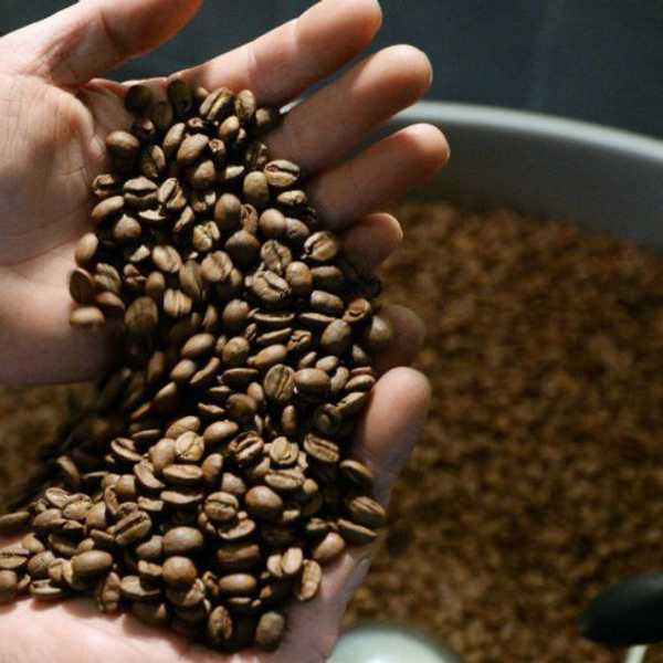 10 Reasons Why Coffee Is The Best