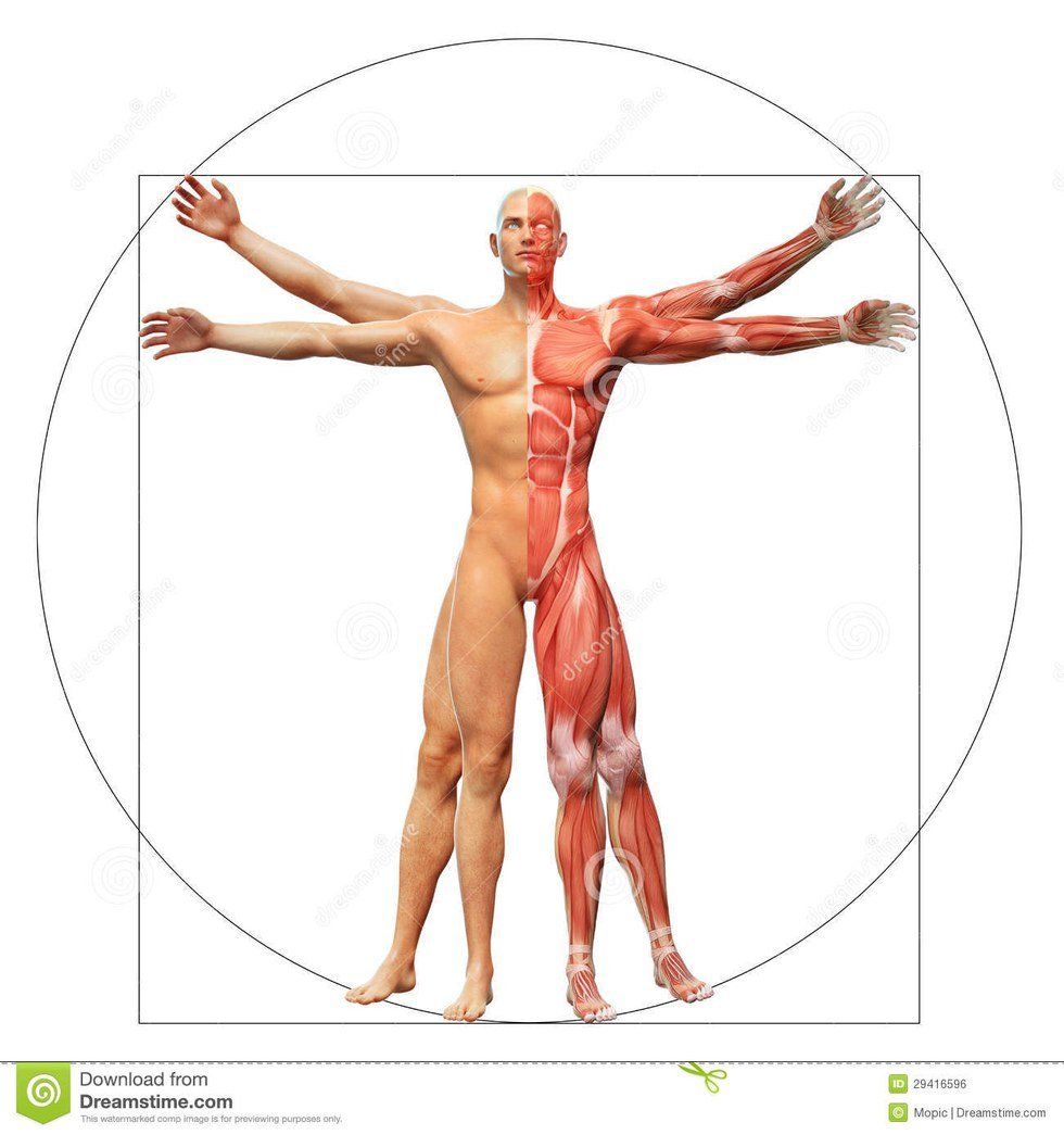 You Can't Help But Be Human