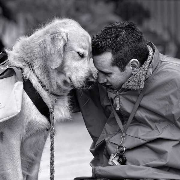 (Ca)Nine Reasons Dogs are Truly Man's Best Friend