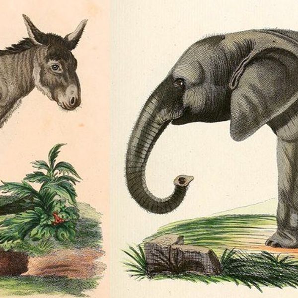 How To Save A Bipartisan Friendship