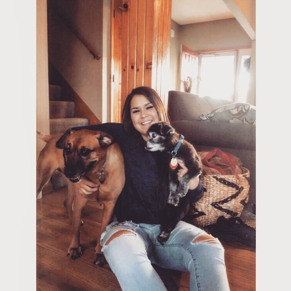 An Open Letter To My Dogs