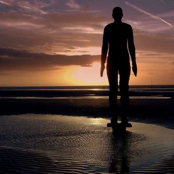 Physical, Mental, And Social Health
